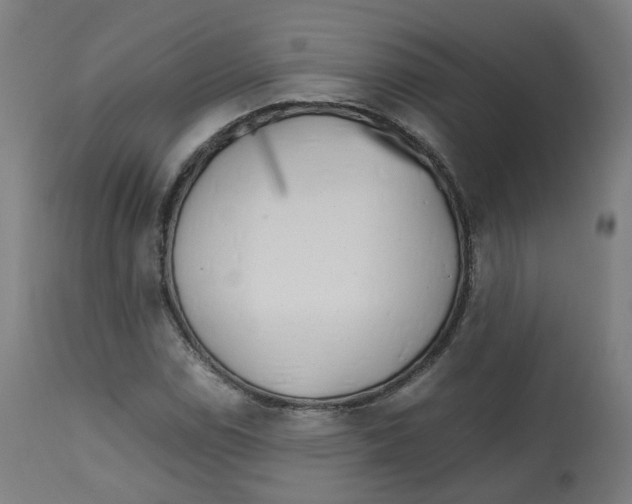 X0000112751114200909171219