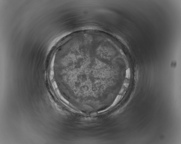 X0000112751117200909171219