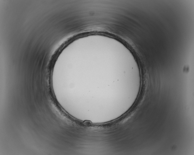 X0000112751118200909171219