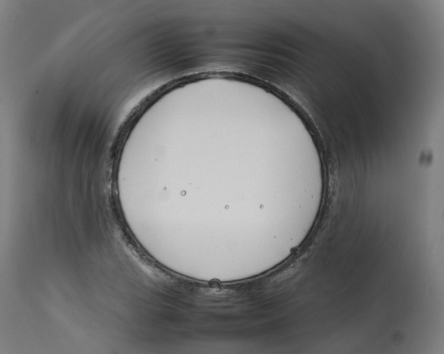 X0000112751119200909171219