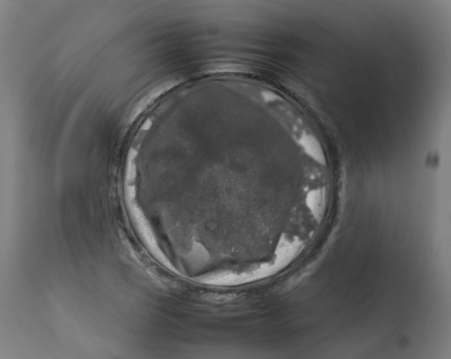 X0000112751121200909171219