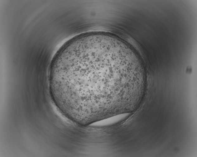 X0000112751124200909171219