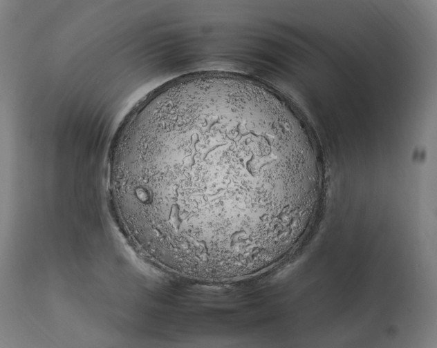 X0000112751125200909171219