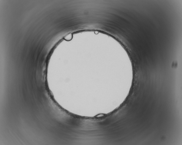 X0000112751126200909171219