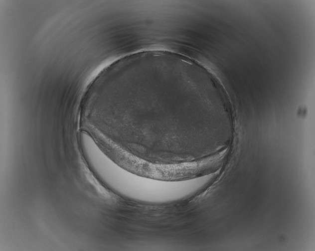 X0000112751127200909171219