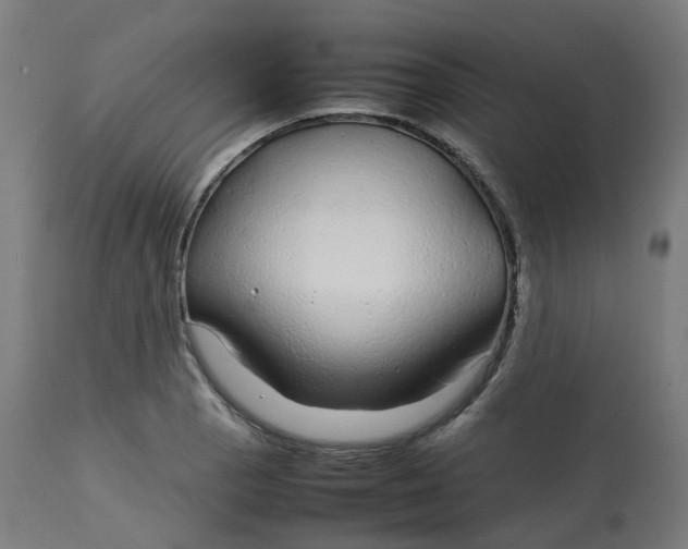 X0000112751129200909171219