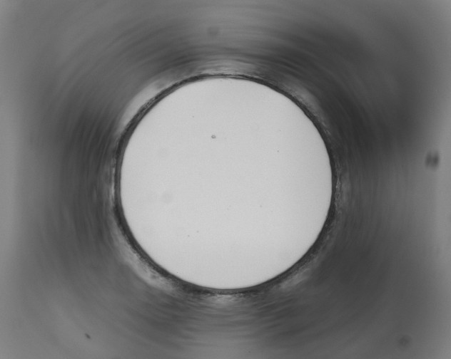 X0000112751130200909171219