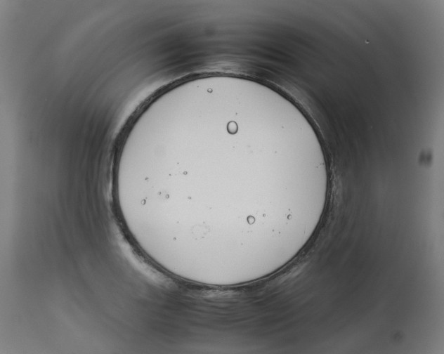 X0000112751131200909171219