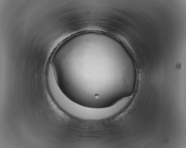 X0000112751133200909171219