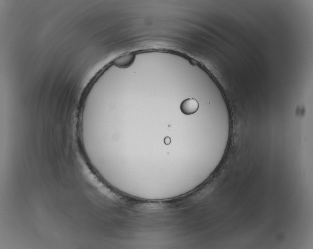 X0000112751134200909171219