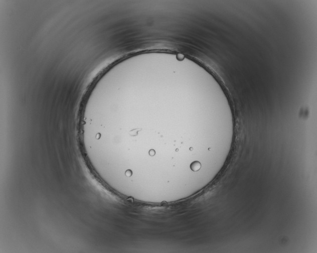 X0000112751135200909171219