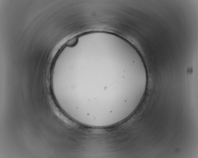 X0000112751136200909171219