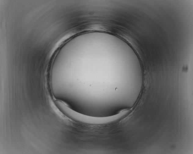 X0000112751139200909171219