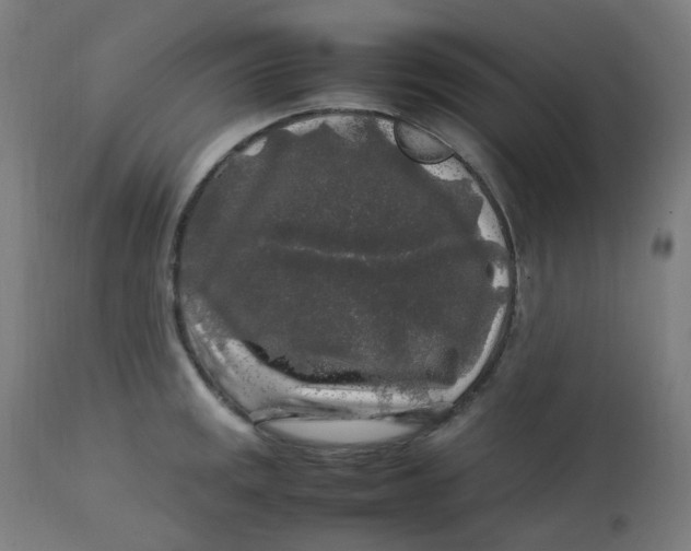 X0000112751141200909171219