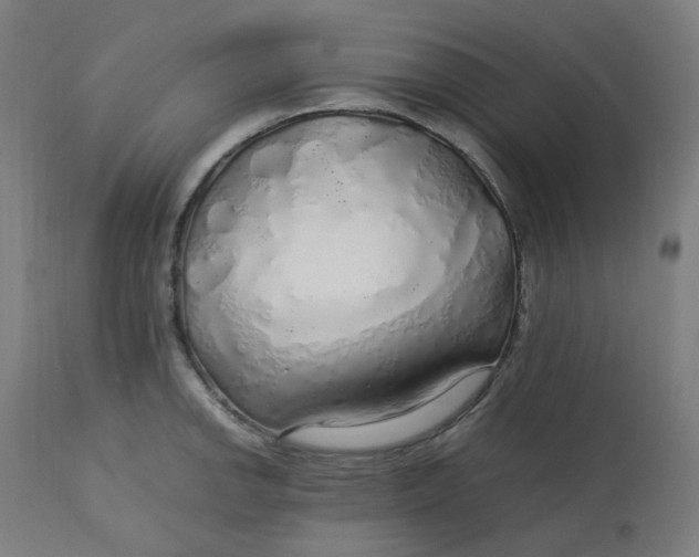 X0000112751142200909171219