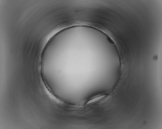 X0000112751143200909171220