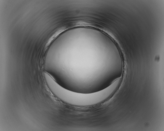 X0000112751145200909171220