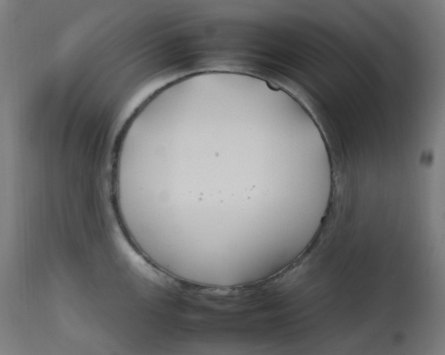 X0000112751147200909171220