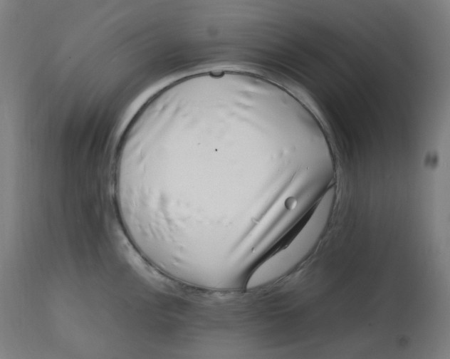 X0000112751148200909171220