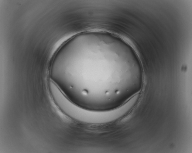 X0000112751149200909171220