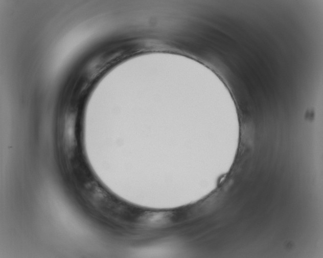 X0000112751150200909171220