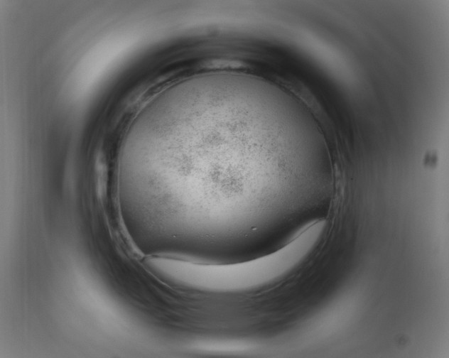 X0000112751151200909171220