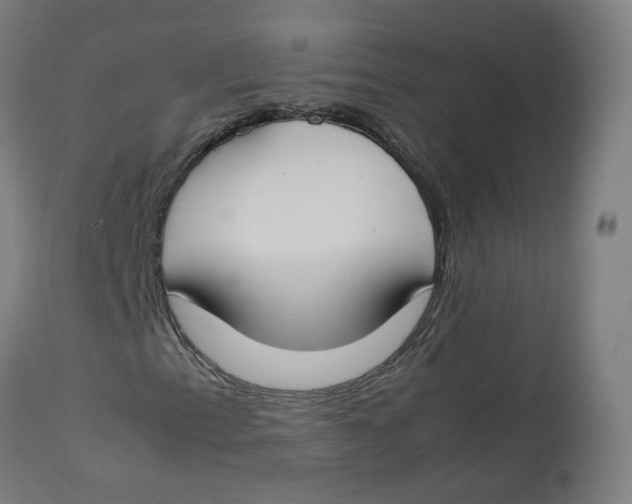 X0000112751153200909171219