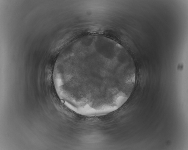 X0000112751154200909171219