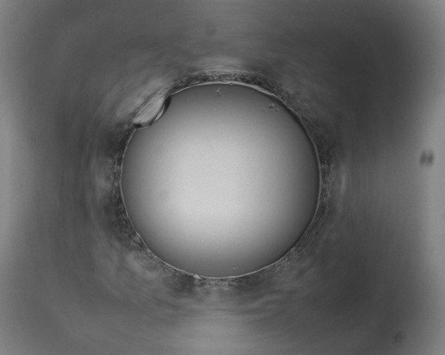 X0000112751157200909171219