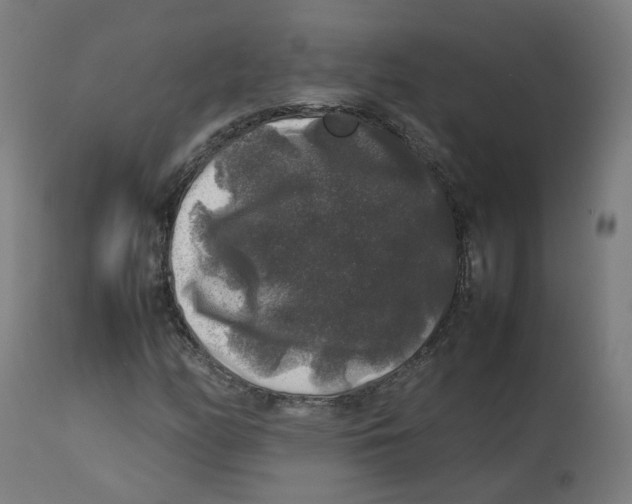 X0000112751158200909171219