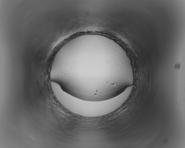 X0000112751160200909171219