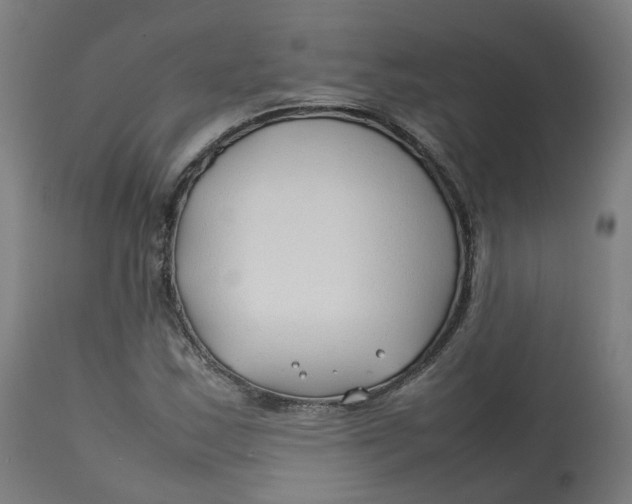 X0000112751163200909171219