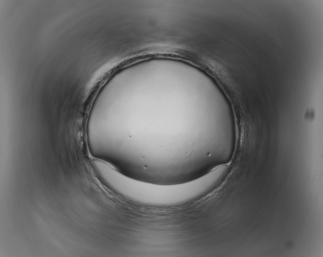 X0000112751164200909171219