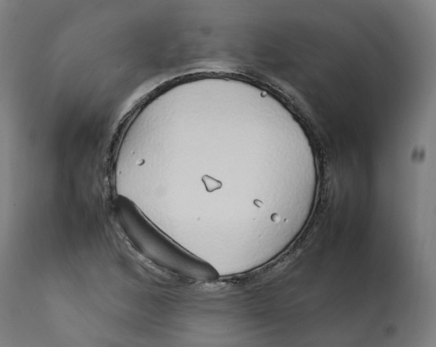 X0000112751168200909171219