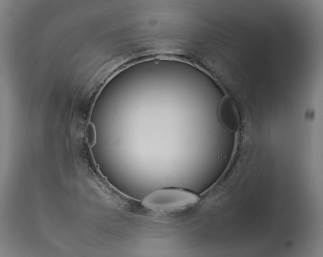 X0000112751169200909171219