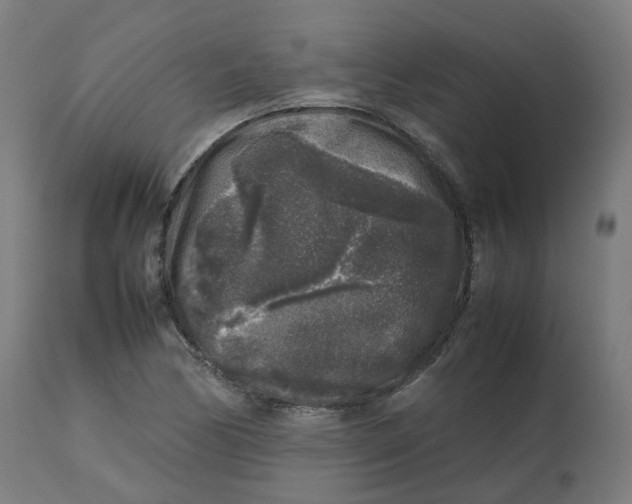 X0000112751170200909171219