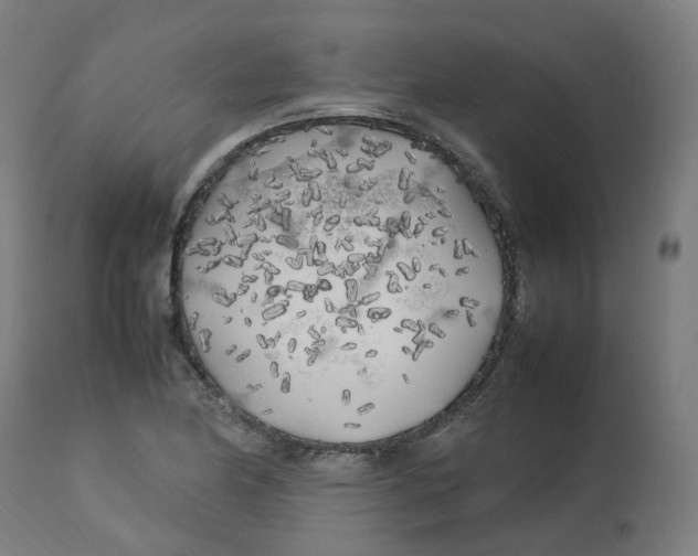X0000112751174200909171219