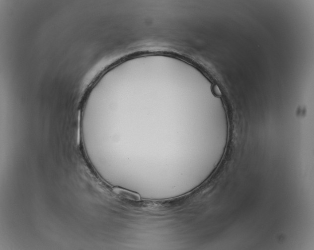 X0000112751175200909171219