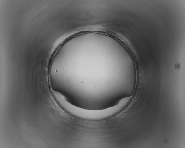 X0000112751176200909171219