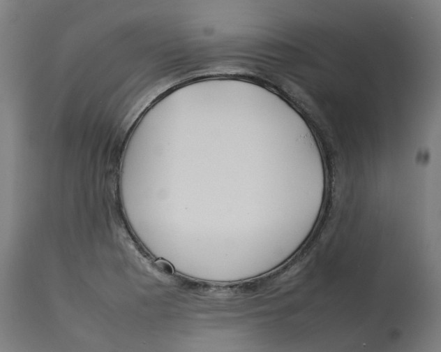 X0000112751177200909171219