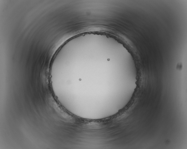 X0000112751178200909171219