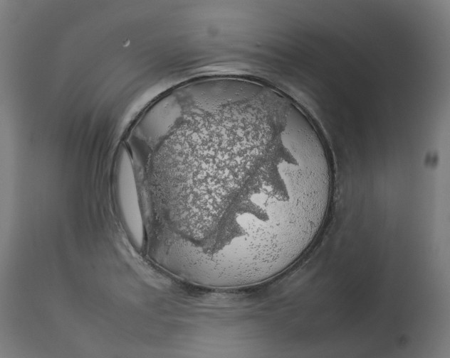 X0000112751179200909171219