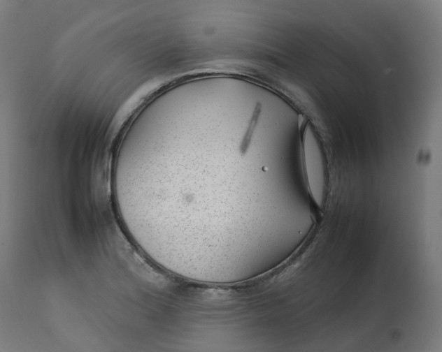 X0000112751180200909171219