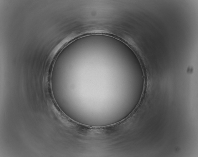 X0000112751181200909171219