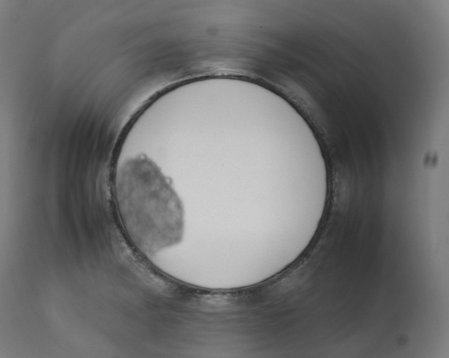 X0000112751182200909171219