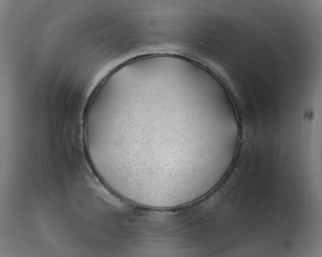 X0000112751184200909171219