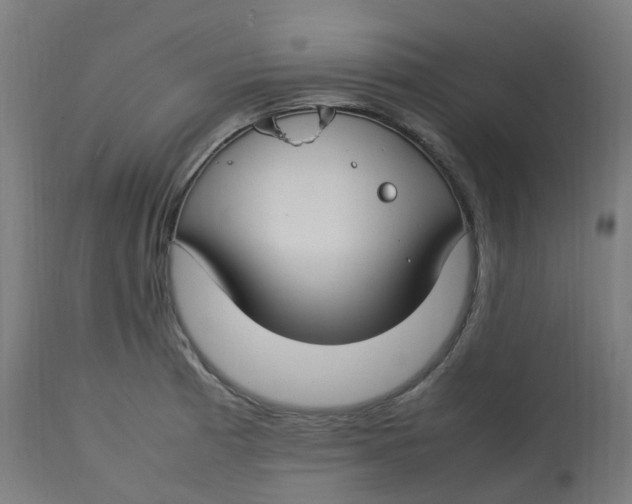 X0000112751185200909171219