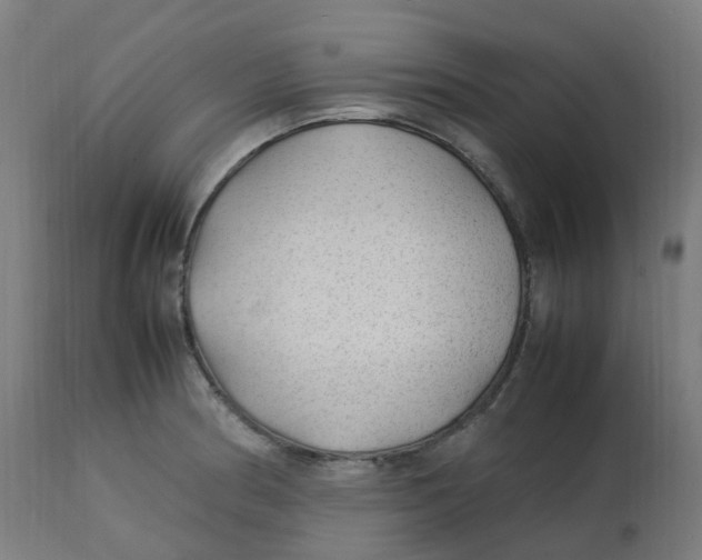 X0000112751186200909171219