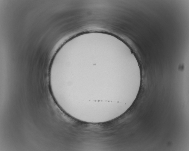 X0000112751191200909171218