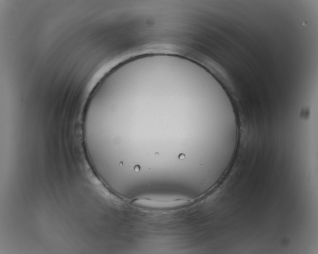 X0000112751192200909171218